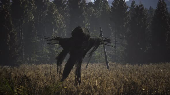 Scarecrow on the Old Village Field