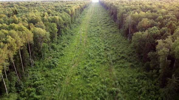 Electric Line in the Forest at Sunset the Concept of Electrification