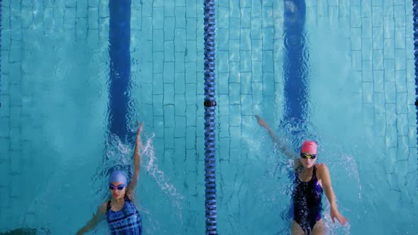 Swimmers training in a swimming pool