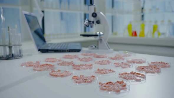 Selected Focus Artificial Cultured Meat on a Laboratory Table in Petri Dishes in the Background