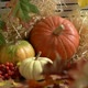 Autumn Still Life with Pumpkins and Rowan - VideoHive Item for Sale