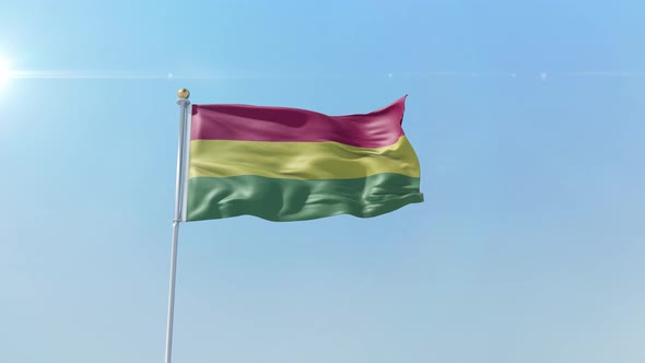 Bolivia  Flag  alt