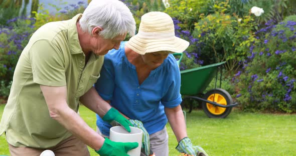 Senior couple gardening together in backyard