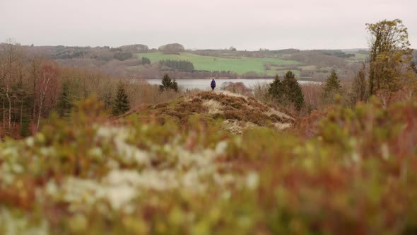 Tourist Standing on the Top of One of the Hills in Himmelbjerget Area Denmark