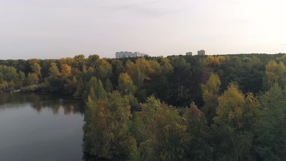 Aerial view of beautiful lake with trees on the shore 