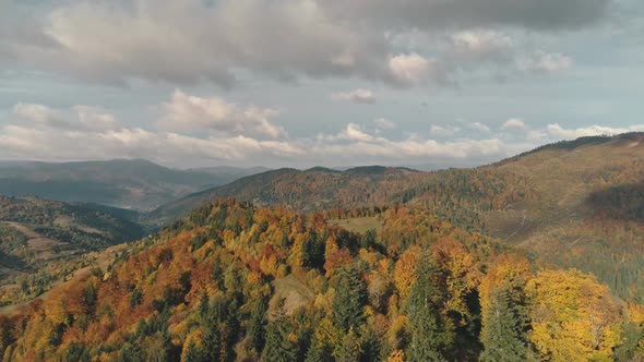 Mixed Forests of Different Colours Cover High Hills in Autumn