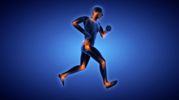 Medically Accurate Animation Of Spinter With Painful Joints alt