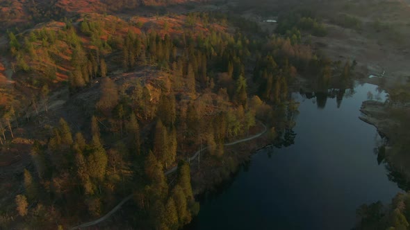 Forest and lake in Lake District National Park in Autumn, Cumbria, UK