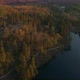 Forest and lake in Lake District National Park in Autumn, Cumbria, UK - VideoHive Item for Sale