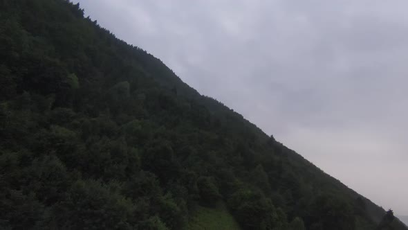 Extreme Close Flight Over Treetops in the Misty Forest Morning