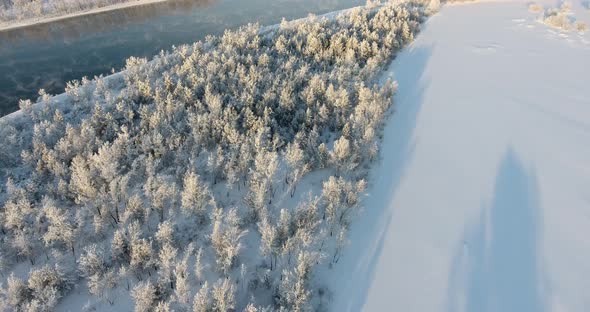 Winter Forest and River