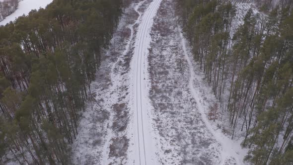Aerial View Railroad In The Forest