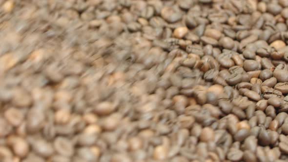 Closeup of Whole Coffee Beans on Roaster Machine