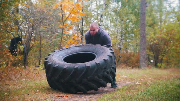 Tough Tattooed Man Bodybuilder in Gloves Pushes Over the Truck Tire on the Ground - Training