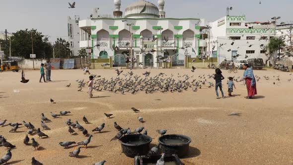 View of people feeding rock pigeons on street