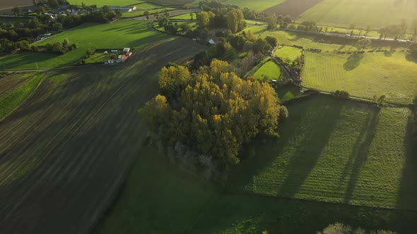 Aerial view of countryside, trees and fields at sunset. 4k video footage of landscape in France
