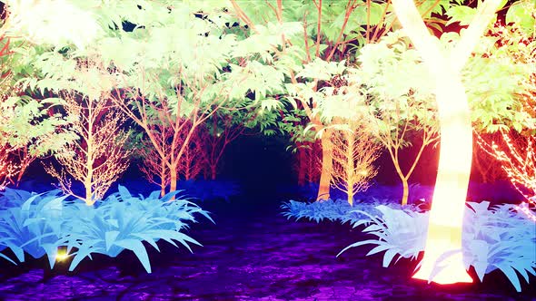 Colorful Dream Forest 4k