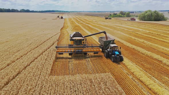 Harvester machine working in field. High angle shot of the harvesters working in the field