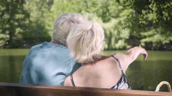 Back View of a Happy Mature Couple Sitting on the Bench Near the River, Admiring Nature, Pointing
