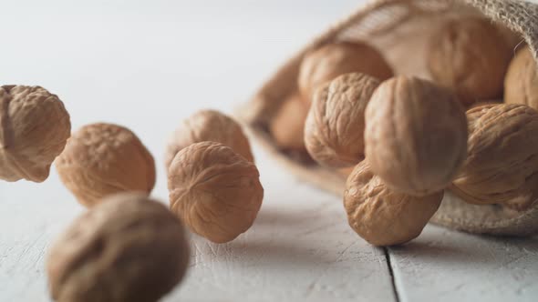 Walnuts in shell rolling out of burlap bag. Slow Motion.