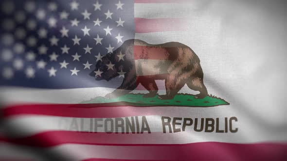 California State Usa Mixed Flag Front HD