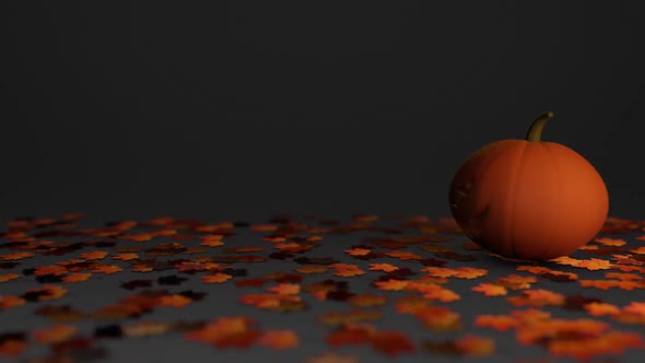 Halloween Scene with Orange Pumpkin on White and Dark Background with Copy Space