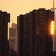 New York: Freedom Tower and Flock of Birds at Sunset. - VideoHive Item for Sale