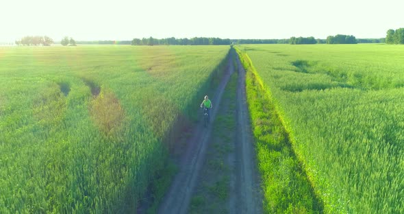 Aerial View on Young Boy, That Rides a Bicycle Thru a Wheat Grass Field on the Old Rural Road