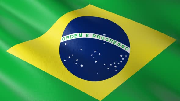 Flag of The Brazil