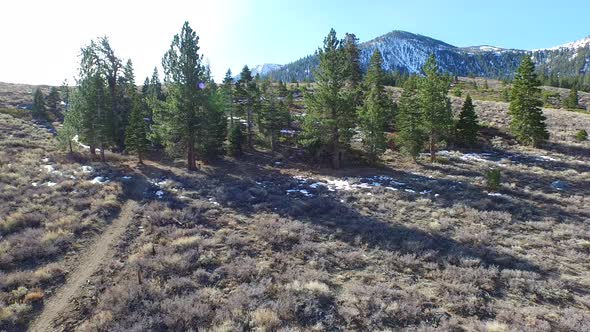 Aerial shot of scenic mountain trail.