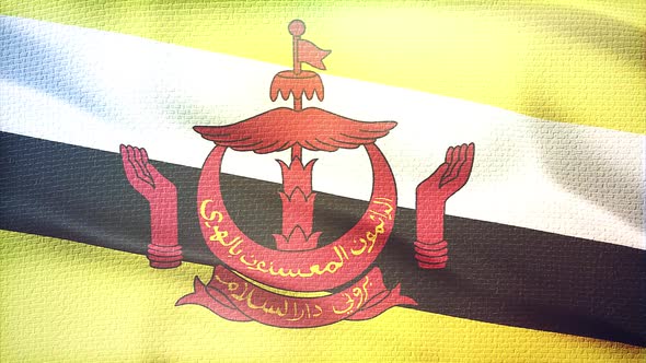 Waving BruneiFlag