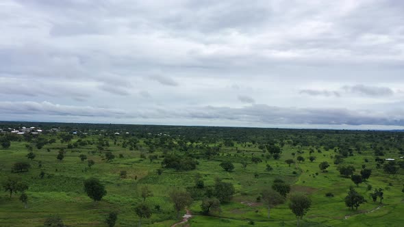 natural green vegetation with clouds