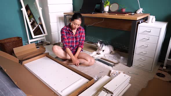 Asian woman with dog assembling furniture alone at home