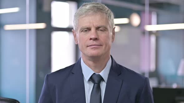 Portrait of Middle Aged Businessman Looking at Camera