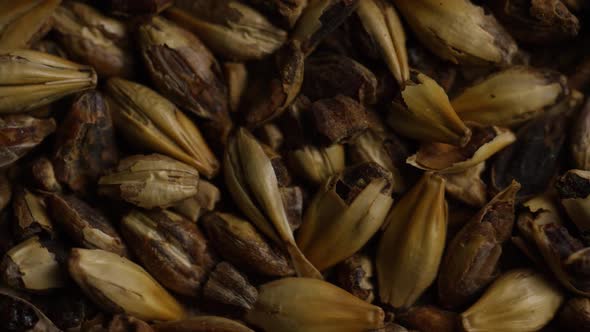 Rotating shot of barley and other beer brewing ingredients - BEER BREWING 097