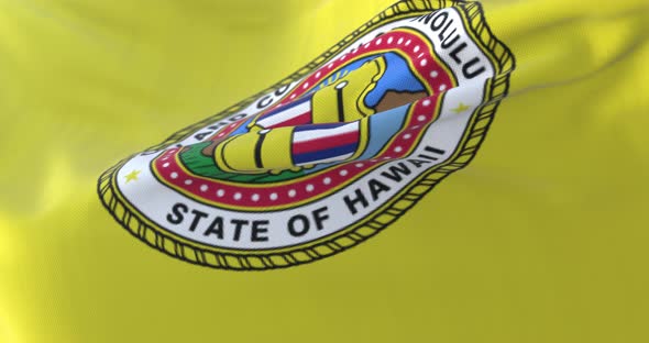 Honolulu City Flag, United States