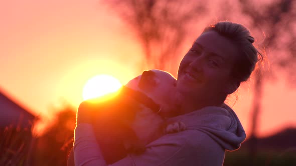 bulldog puppy is loved in the sunset by his dog mom 4k