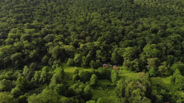 Aerial View Among the Green Forests Stand Two Wooden Buildings