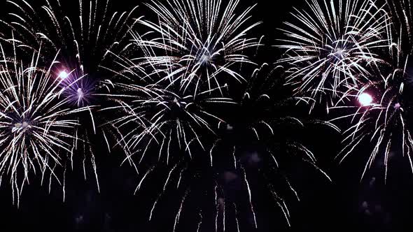 Colorful Fireworks Exploding in the Night Sky