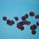 Dewberries Fall in Clear Water - VideoHive Item for Sale