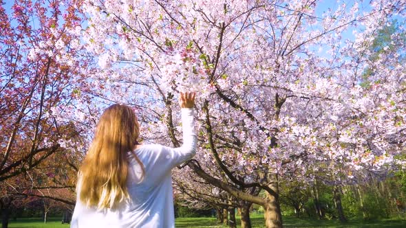 Girl walking in Japanese Garden with blooming trees. Young woman with long hair enjoys spring