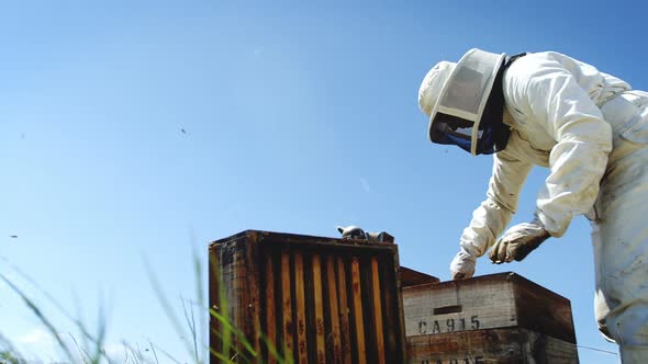 Beekeeper working on beehive