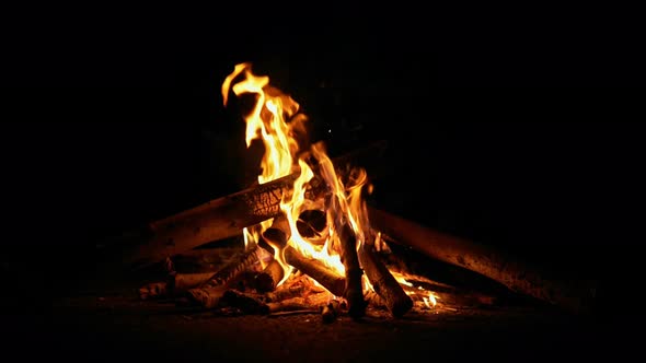 Camp Fire (4K)