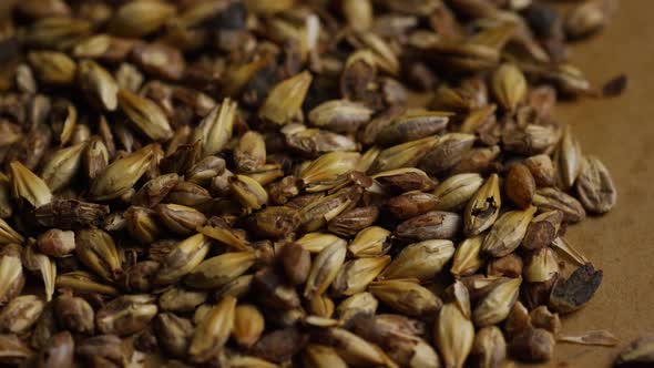 Rotating shot of barley and other beer brewing ingredients - BEER BREWING 082