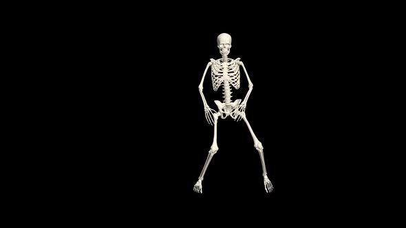 Skeleton 3D Dance.