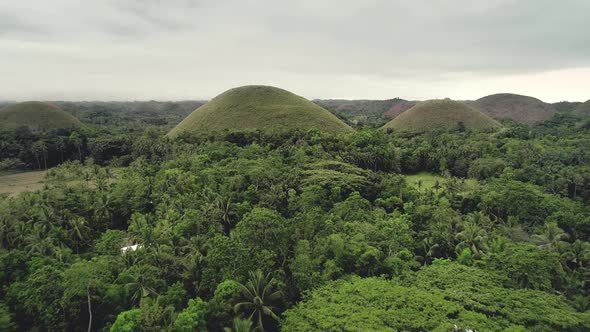 Drone Fly Over Rainforest to Chocolate Hills with Lush Greenery