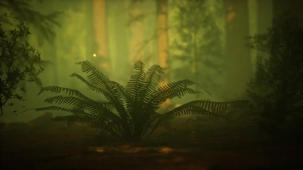 Firefly in Misty Forest with Fog