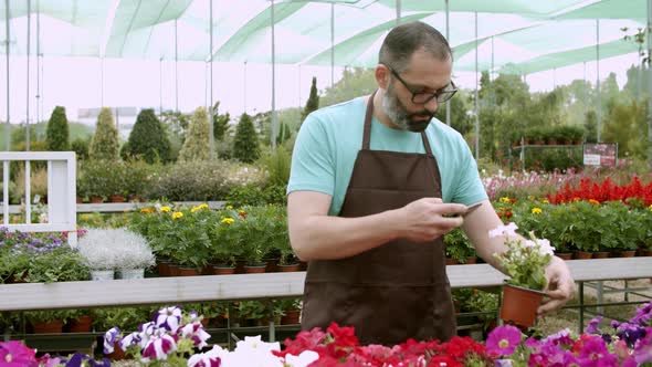 Concentrated Gardener Taking Photo of Petunias