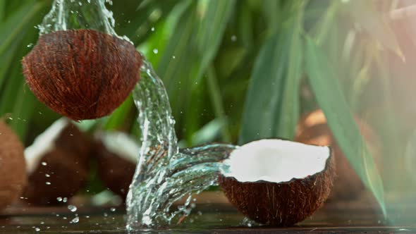 Super Slow Motion Shot of Water Splashing From Coconut at .