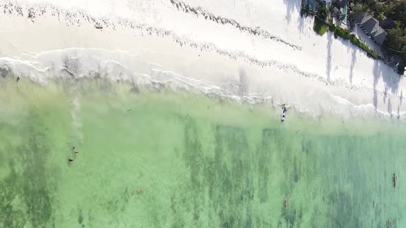 Vertical Video of the Ocean Near the Coast of Zanzibar Tanzania Aerial View